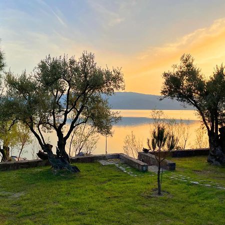 Seafront Traditional Stone House In Sunset Olive Grove - B Βίλα Alyfanta Εξωτερικό φωτογραφία