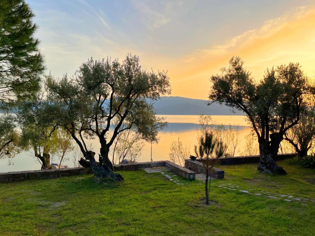 Seafront Traditional Stone House In Sunset Olive Grove - B Alyfanta Εξωτερικό φωτογραφία