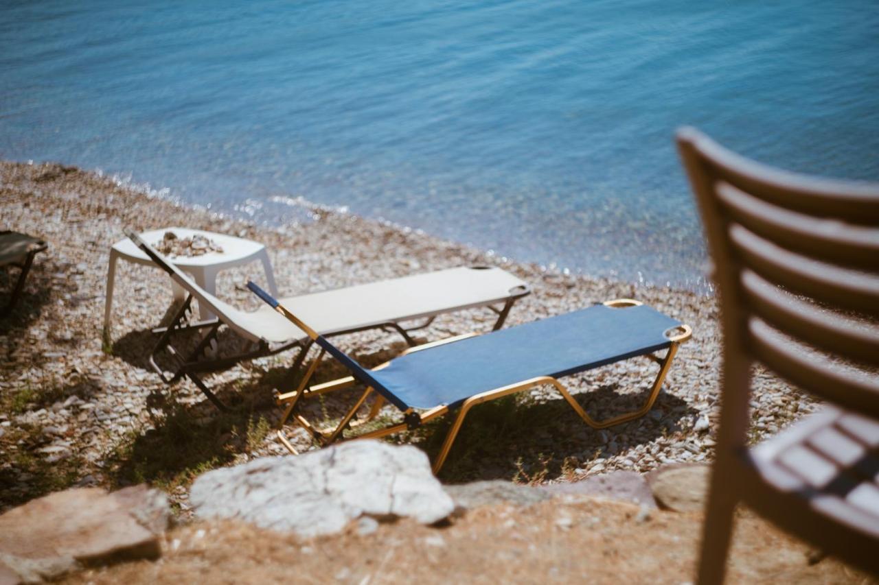 Seafront Traditional Stone House In Sunset Olive Grove - B Alyfanta Εξωτερικό φωτογραφία