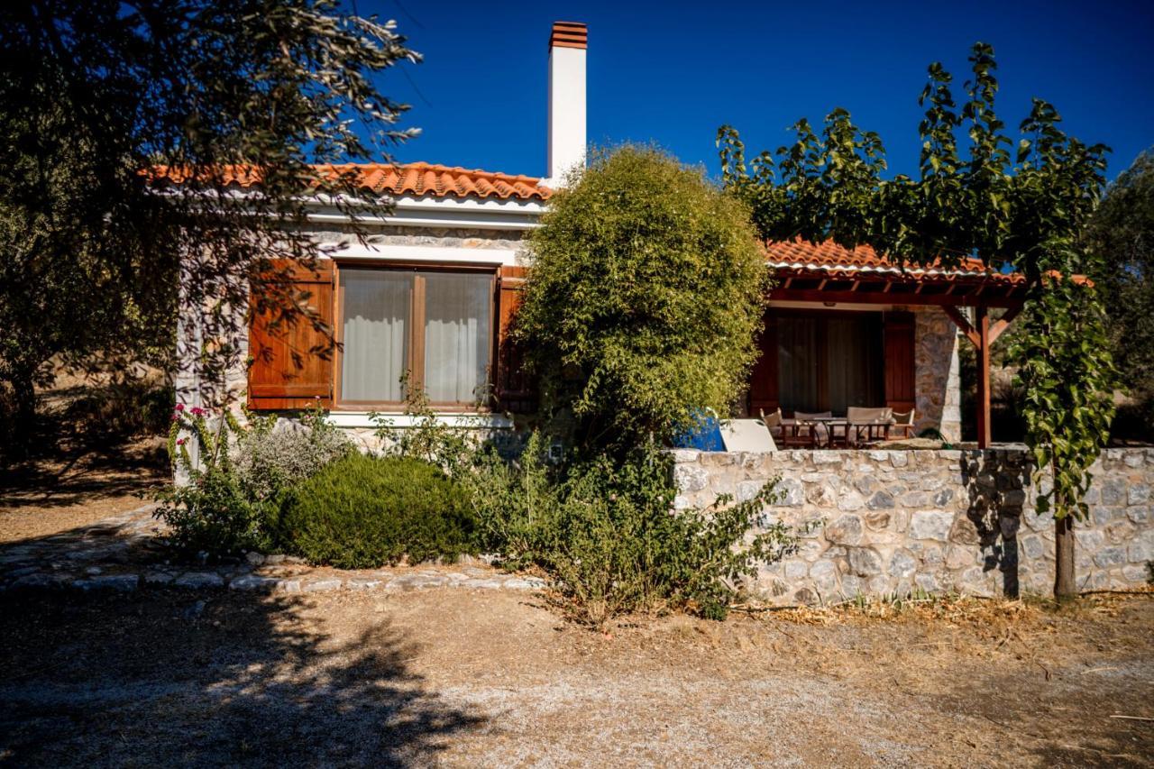 Seafront Traditional Stone House In Sunset Olive Grove - B Alyfanta Εξωτερικό φωτογραφία