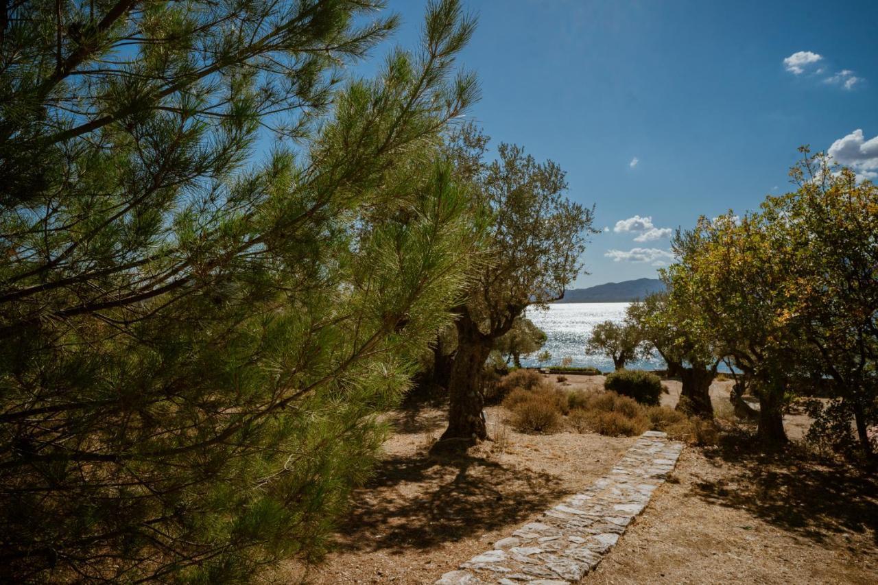 Seafront Traditional Stone House In Sunset Olive Grove - B Alyfanta Εξωτερικό φωτογραφία