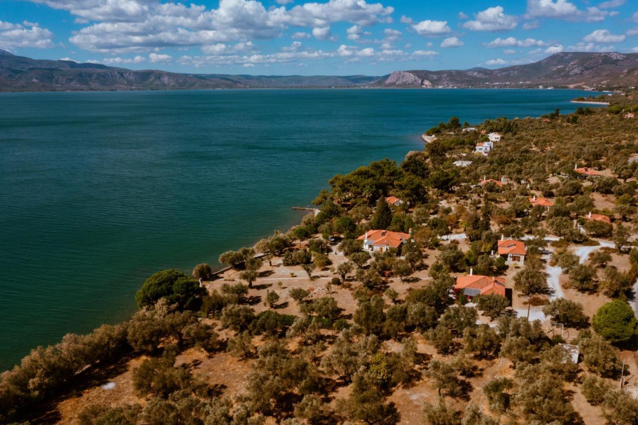 Seafront Traditional Stone House In Sunset Olive Grove - B Alyfanta Εξωτερικό φωτογραφία