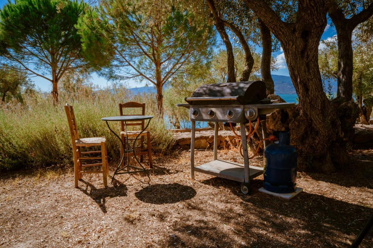 Seafront Traditional Stone House In Sunset Olive Grove - B Alyfanta Εξωτερικό φωτογραφία